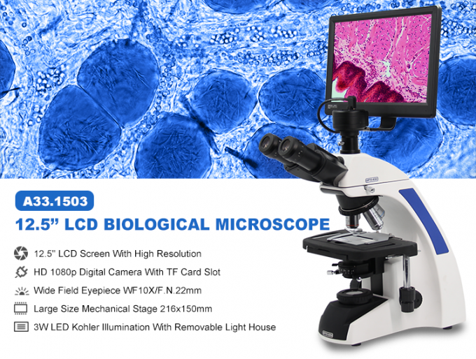 affichage à cristaux liquides numérique de microscopio