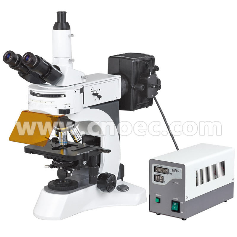 40x - 1000x Epi - Fluorescence Microscope Trinocular A16.1028