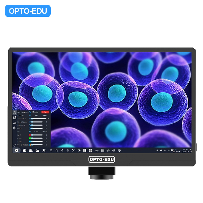 11.6" 8.0M Digital Microscope Camera with 4K 3840x2160 Resolution