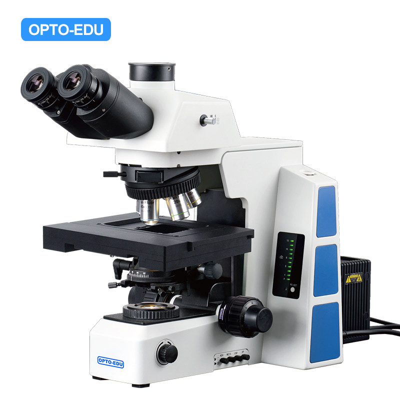 M12.5850 Compound Optical Microscope Biological Bf 2d Xyz Motorized
